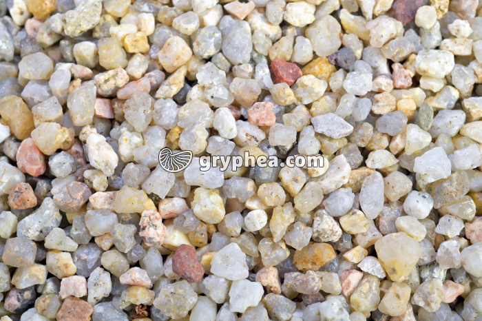 Sable (détail) - gryphea.org